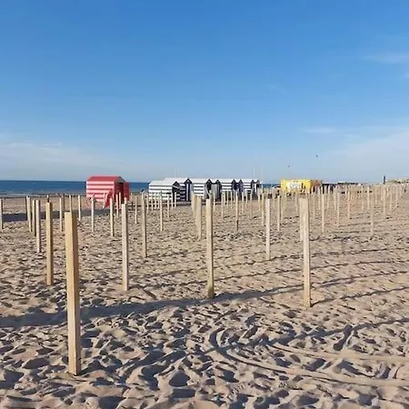 Apartamento 2 Bedroom App, Close To The And Plopsaland *